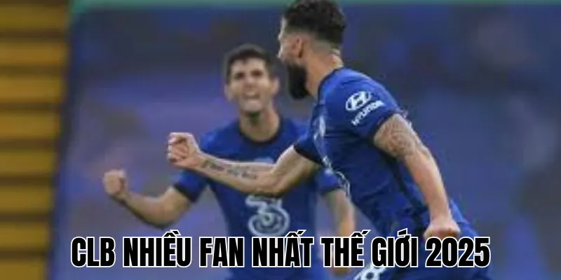 Đội Vô Địch Euro Nhiều Nhất: Hành Trình Ghi Dấu Lịch Sử